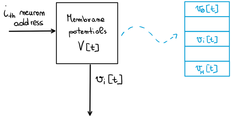 The membrane potentials memory.