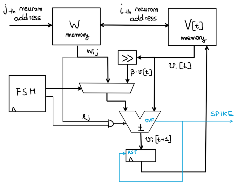 Membrane reset by membrane potential zeroing.