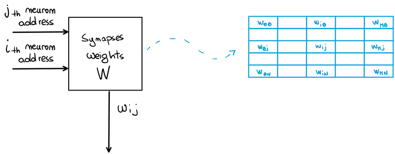 The synapses weights memory.